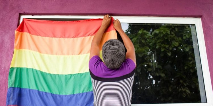 Suriye’nin kurtuluşuna feminist kuir bir bakış